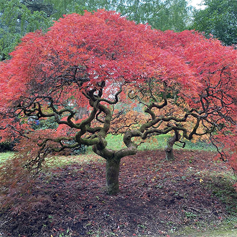 Soul Space - Autumn is here... time to get cosy! - photo 01