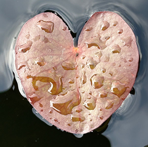 Soul Space - Precious Time with Loved Ones - photo 01