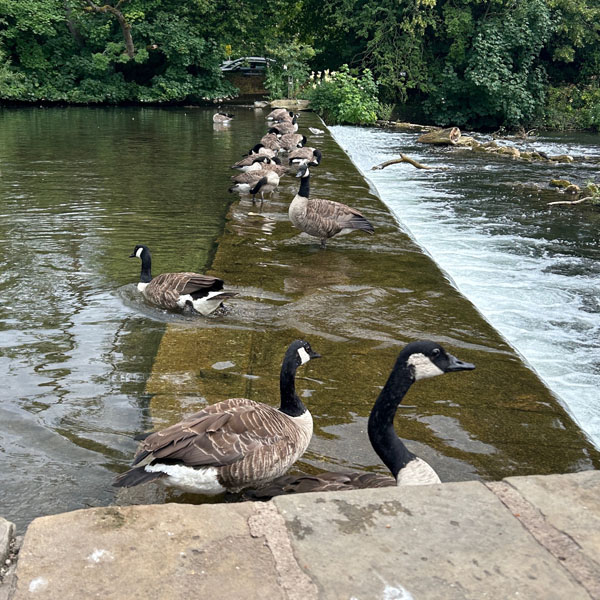 Soul Space - Precious Time with Loved Ones - photo 12