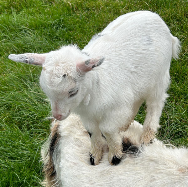 Soul Space - Precious Time with Loved Ones - photo 17