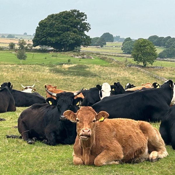 Soul Space - Precious Time with Loved Ones - photo 18