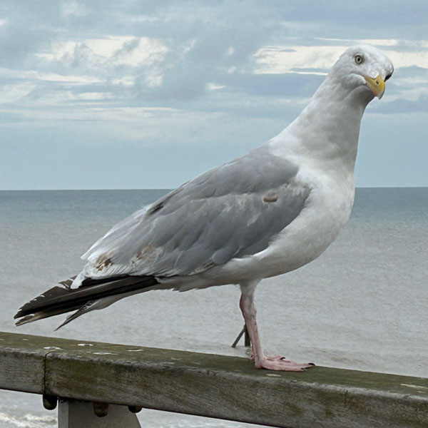 Soul Space - Precious Time with Loved Ones - photo 20