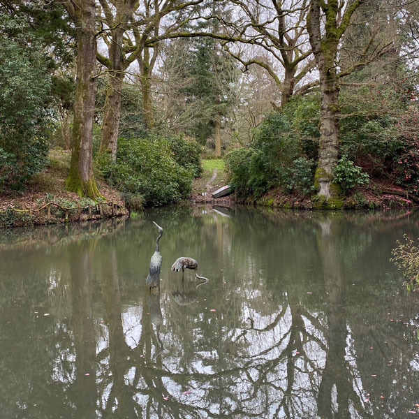 Soul Space - hake off those Winter Blues and Step into Spring! - photo 02