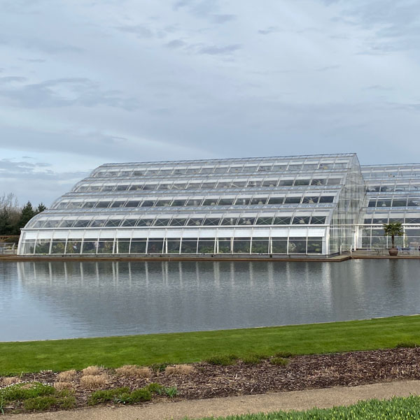 Soul Space - hake off those Winter Blues and Step into Spring! - photo 06