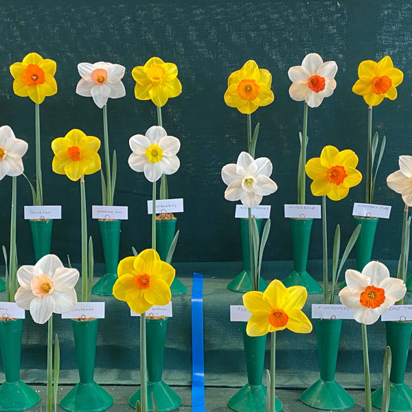 Soul Space - hake off those Winter Blues and Step into Spring! - photo 08