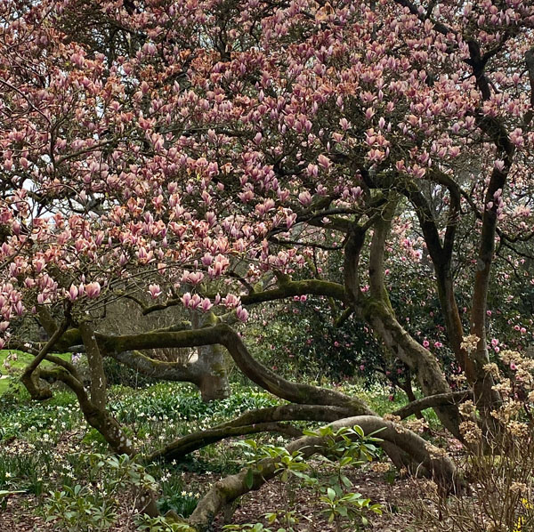 Soul Space - hake off those Winter Blues and Step into Spring! - photo 09