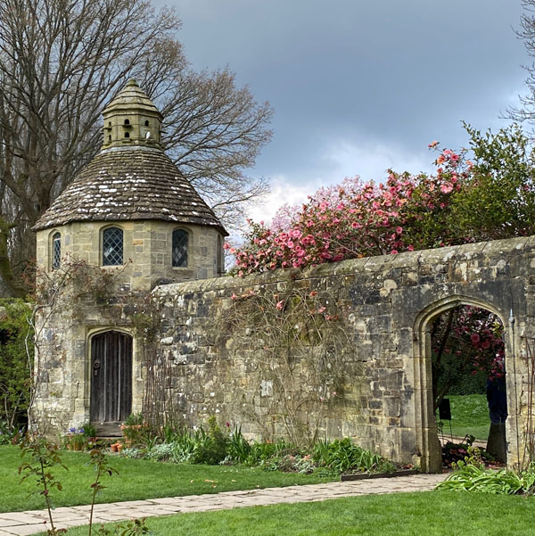 Soul Space - hake off those Winter Blues and Step into Spring! - photo 11