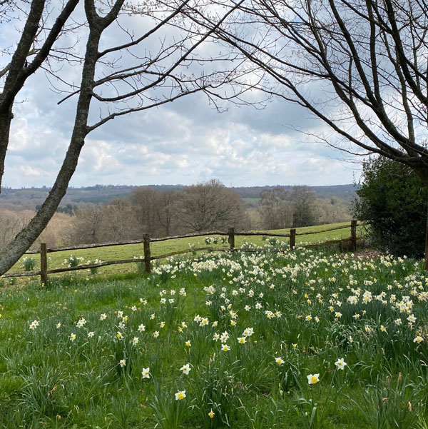 Soul Space - hake off those Winter Blues and Step into Spring! - photo 13