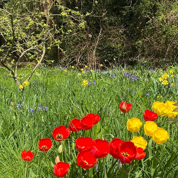 Soul Space - hake off those Winter Blues and Step into Spring! - photo 14