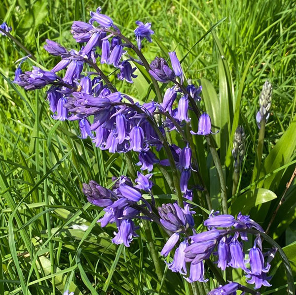 Soul Space - hake off those Winter Blues and Step into Spring! - photo 15