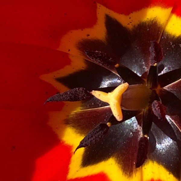 Soul Space - hake off those Winter Blues and Step into Spring! - photo 16