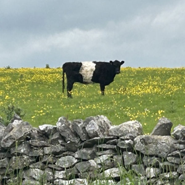 Soul Space - Some more Goodbyes... - photo 07