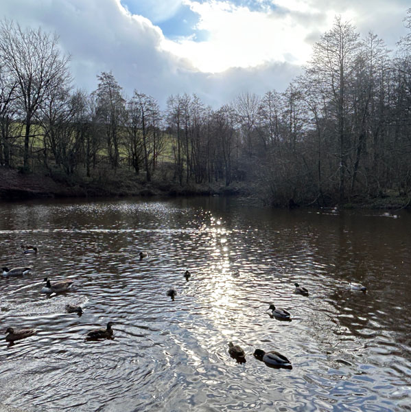 Soul Space - The Importance of Connection - Thank you