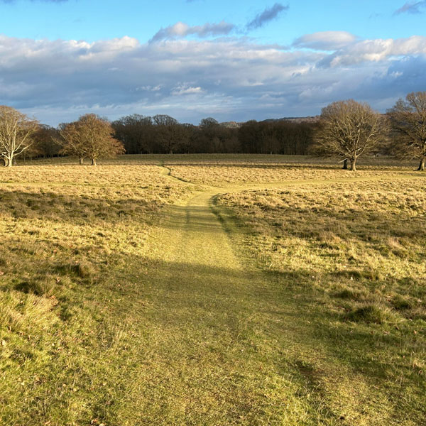 Soul Space - The National Trust - Peace in Nature and History - photo 10