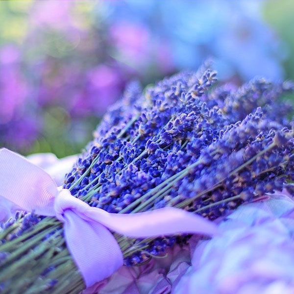 Soul Space - Precious Time with Loved Ones - photo 01