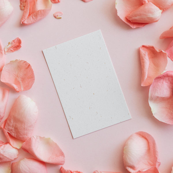 Soul Space - Using Essential Oils at Home - photo 13