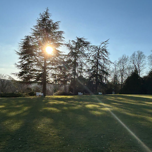 Soul Space - Walking for Charity and for Pleasure...Spring is finally here! - photo 05