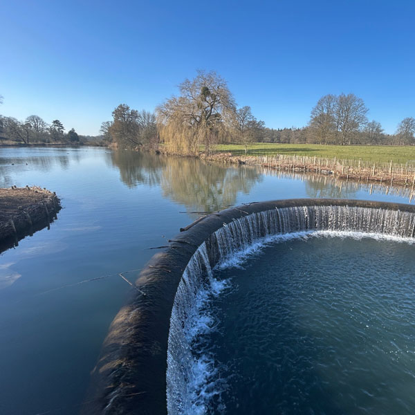 Soul Space - Walking for Charity and for Pleasure...Spring is finally here! - photo 07