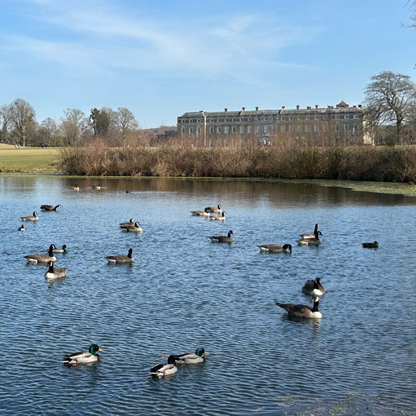 Soul Space - Walking for Charity and for Pleasure...Spring is finally here! - photo 08