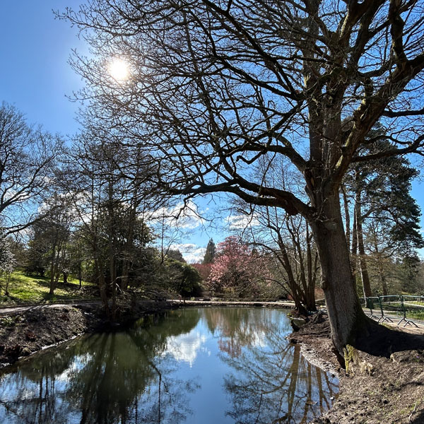 Soul Space - Walking for Charity and for Pleasure...Spring is finally here! - photo 11