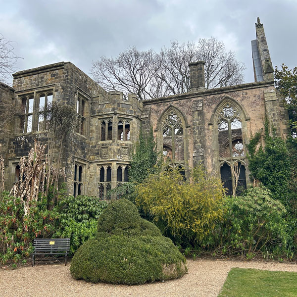 Soul Space - Walking for Charity and for Pleasure...Spring is finally here! - photo 15