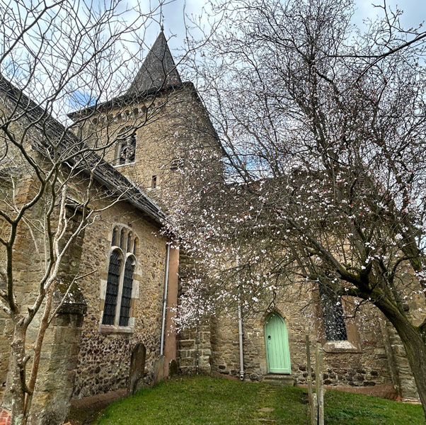 Soul Space - Walking for Charity and for Pleasure...Spring is finally here! - photo 20