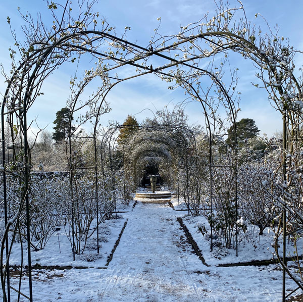 Soul Space - Walking in a Winter Wonderland... - photo 01