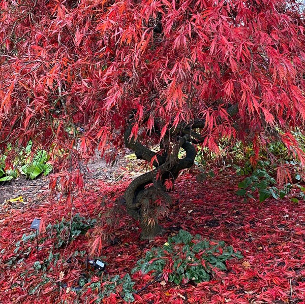 Soul Space - Warming Essential Oils to Keep You Cosy! - photo 01