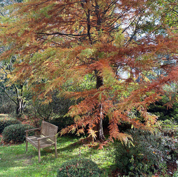 Soul Space - Warming Essential Oils to Keep You Cosy! - photo 02