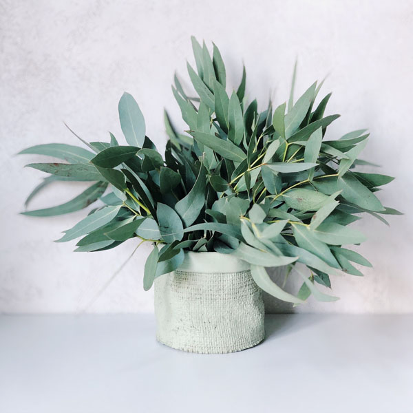 Soul Space - Warming Essential Oils to Keep You Cosy! - photo 04