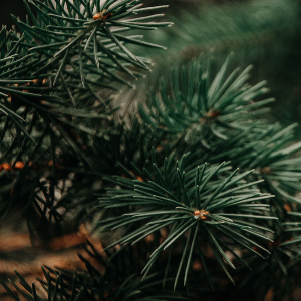 Soul Space - Warming Essential Oils to Keep You Cosy! - photo 08