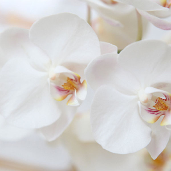 Soul Space - What is ‘Bespoke Holistic Massage Therapy?’ - photo 12