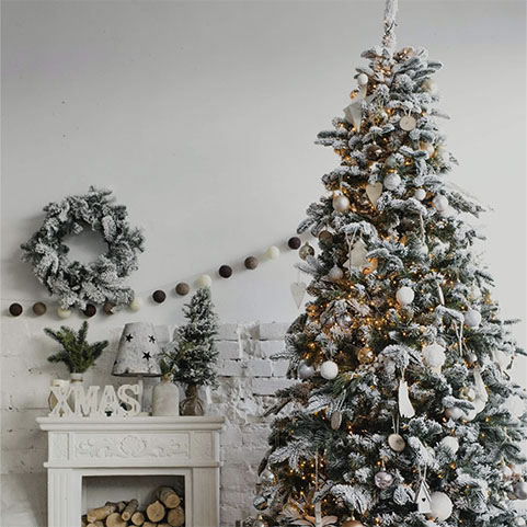 Soul Space - Winter is approaching – it’s time to support those Immune Systems! - photo 02