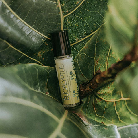 Soul Space - Winter is approaching – it’s time to support those Immune Systems! - photo 03