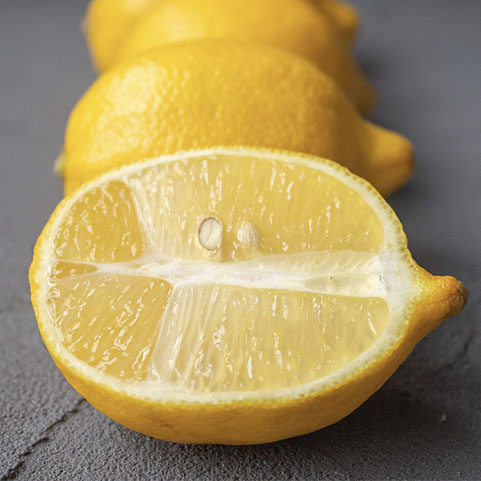 Soul Space - Winter is approaching – it’s time to support those Immune Systems! - photo 04