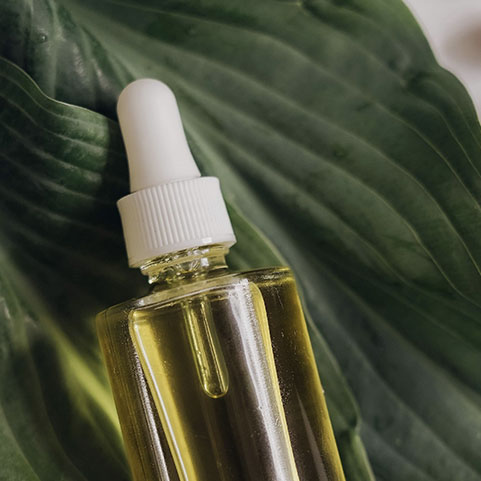 Soul Space - Winter is approaching – it’s time to support those Immune Systems! - photo 05