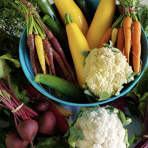 Soul Space - Winter is approaching – it’s time to support those Immune Systems! - photo 05