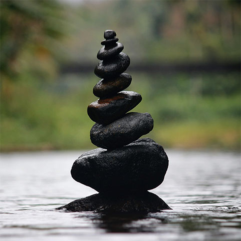 Soul Space - Winter is approaching – it’s time to support those Immune Systems! - photo 05