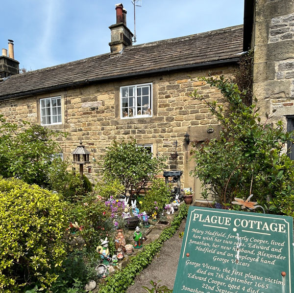 Soul Space - Working, Hosting and Exploring! - photo 06