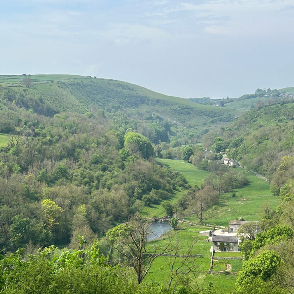 Soul Space - Working, Hosting and Exploring! - photo 07